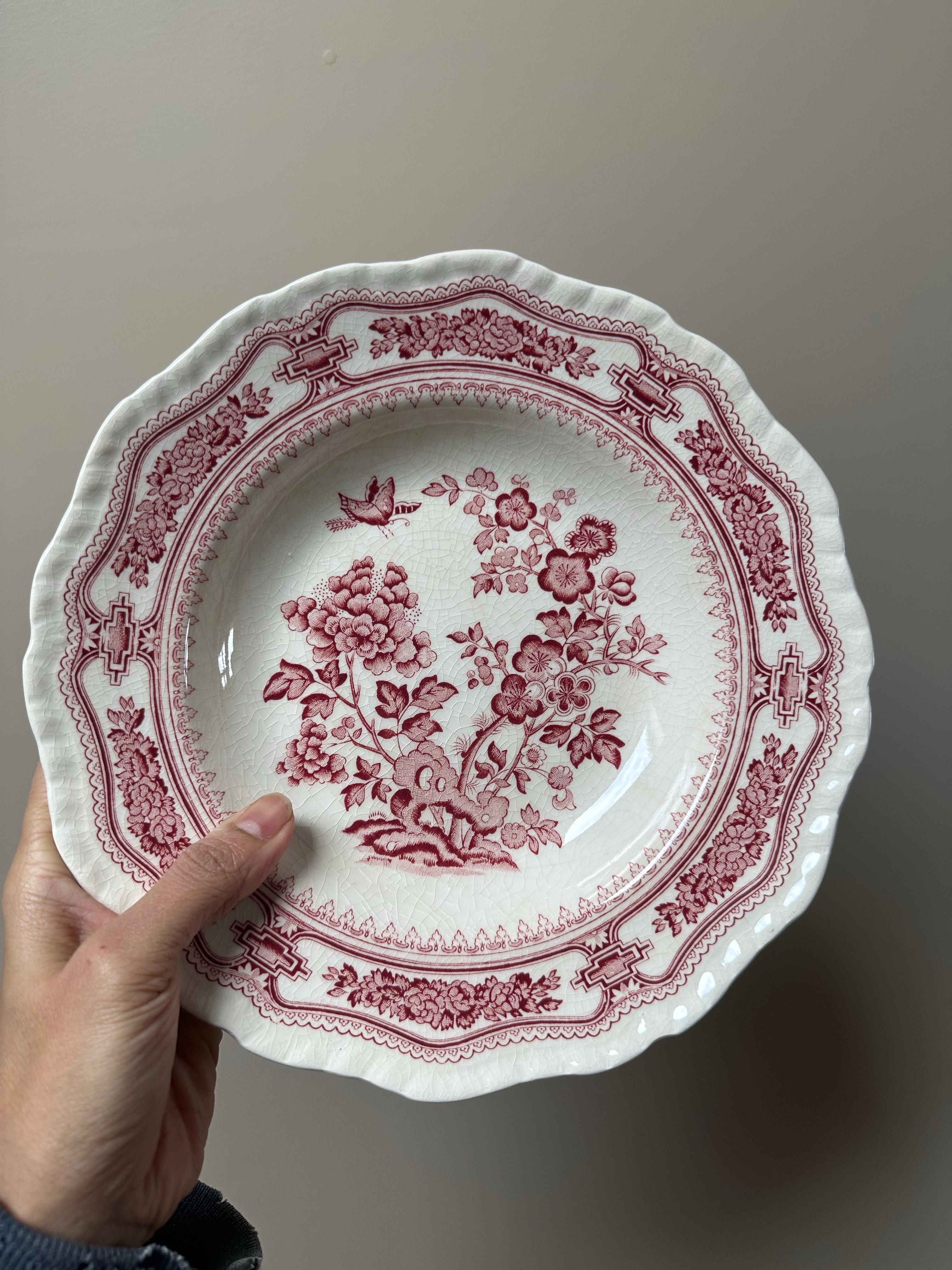 XIX secolo Mason's Patent Ironstone 