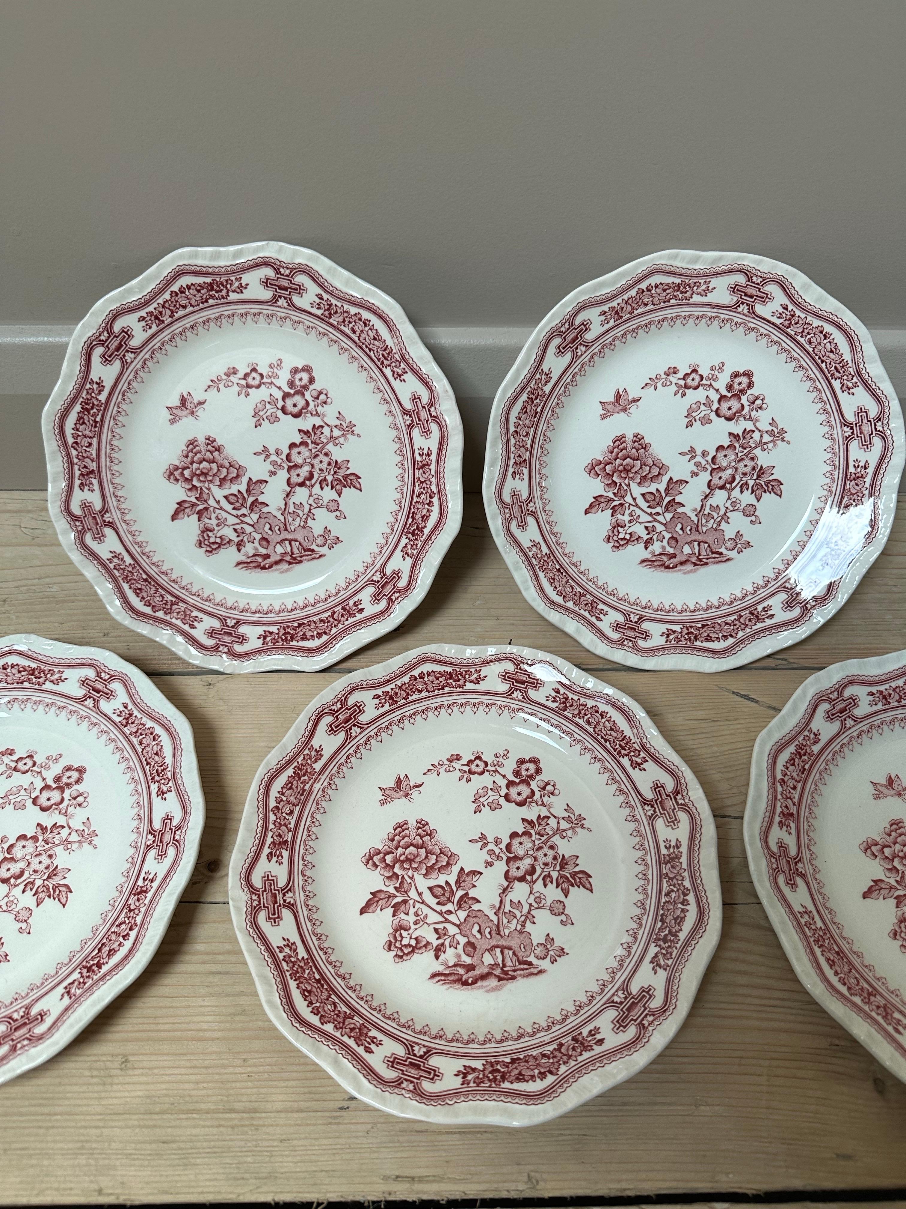 Ceramica Mason's Patent Ironstone 