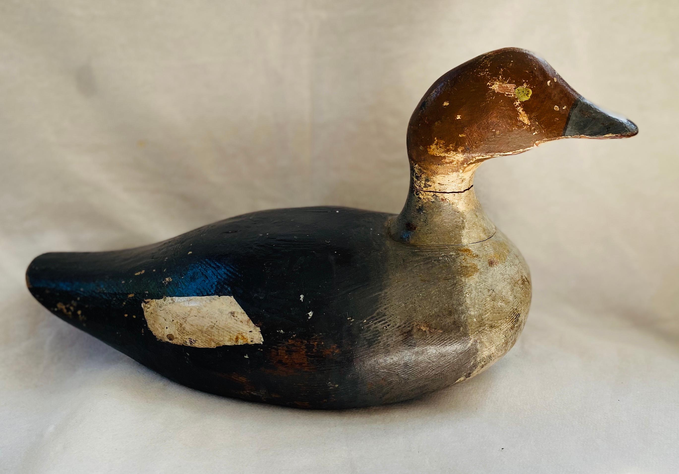 American Massachusetts Goldeneye Hen Decoy, circa 1920s For Sale