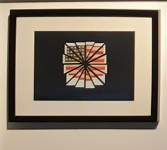 E pluribus unum - Massimiliano Muner Polaroid Instant film