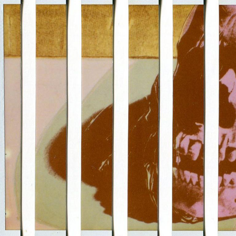 Skull Revisited - Massimiliano Muner Polaroid Instant Film For Sale 1