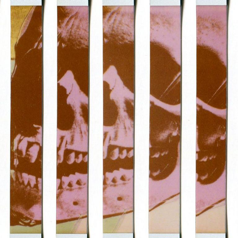 Skull Revisited - Massimiliano Muner Polaroid Instant Film For Sale 2