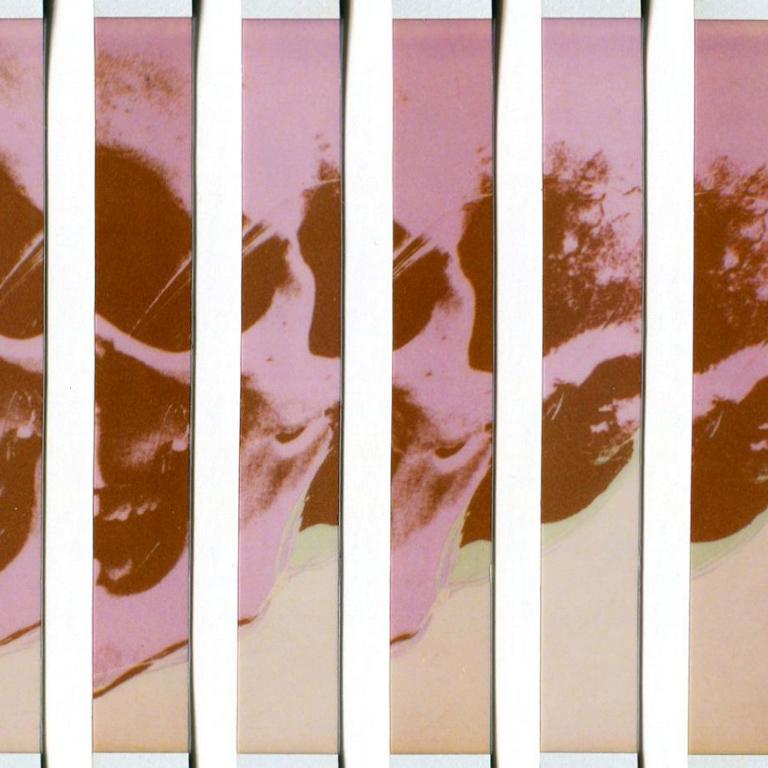 Skull Revisited - Massimiliano Muner Polaroid Instant Film For Sale 3