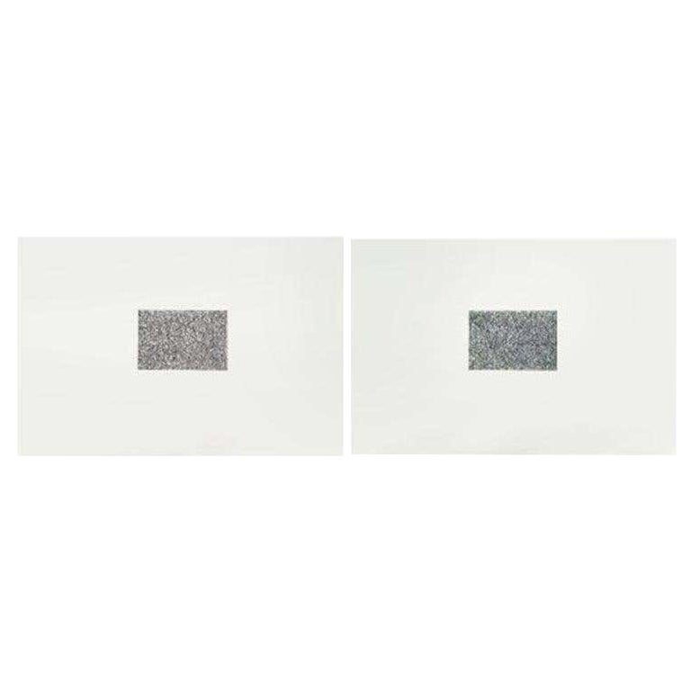 Massimo Bartolini "287 ore" Diptico 1 Fotoincisione, 2014 in vendita