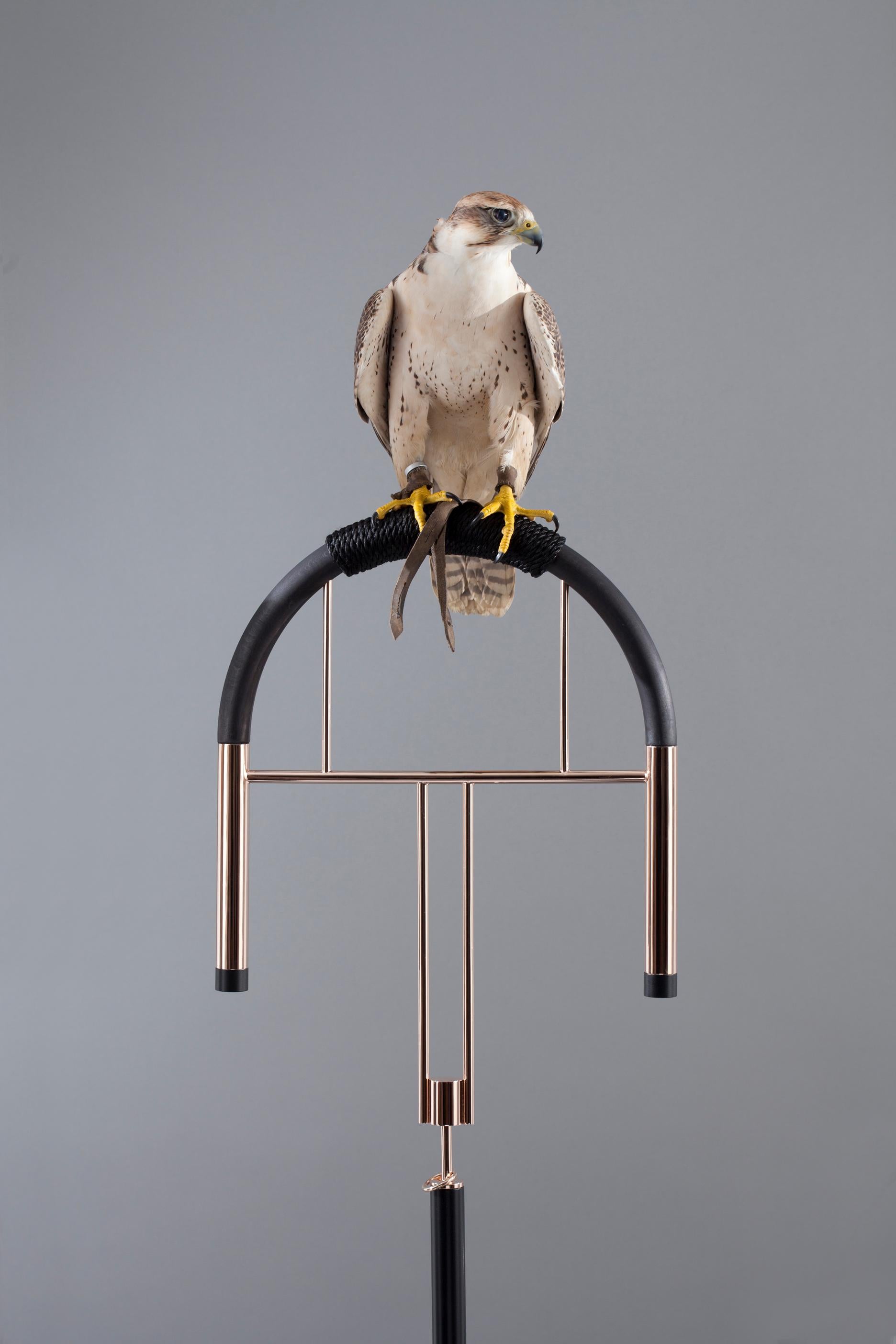 Italiano Massimo Faion Posa Falcon 2 in ottone placcato oro rosa e marmo nero Marquina in vendita
