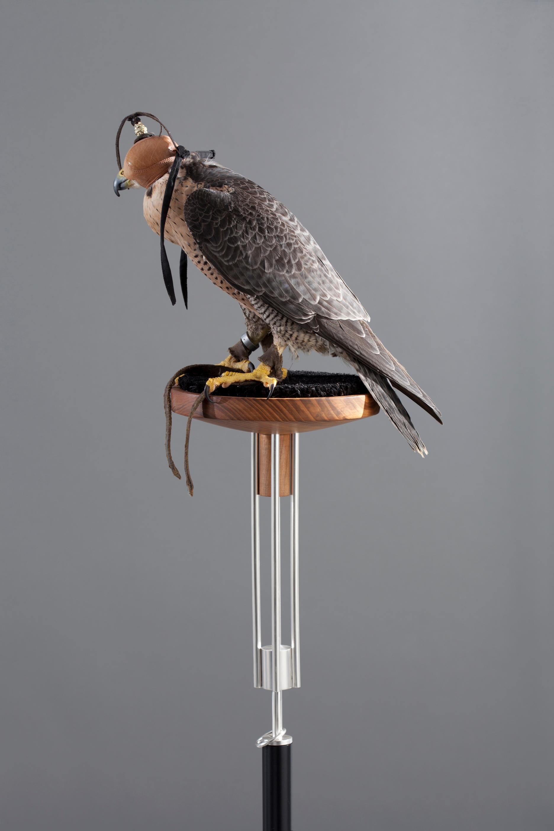 Massimo Faion Posa Falcon 4 in Silver Plated Brass In New Condition For Sale In Pireaus-Athens, Greece