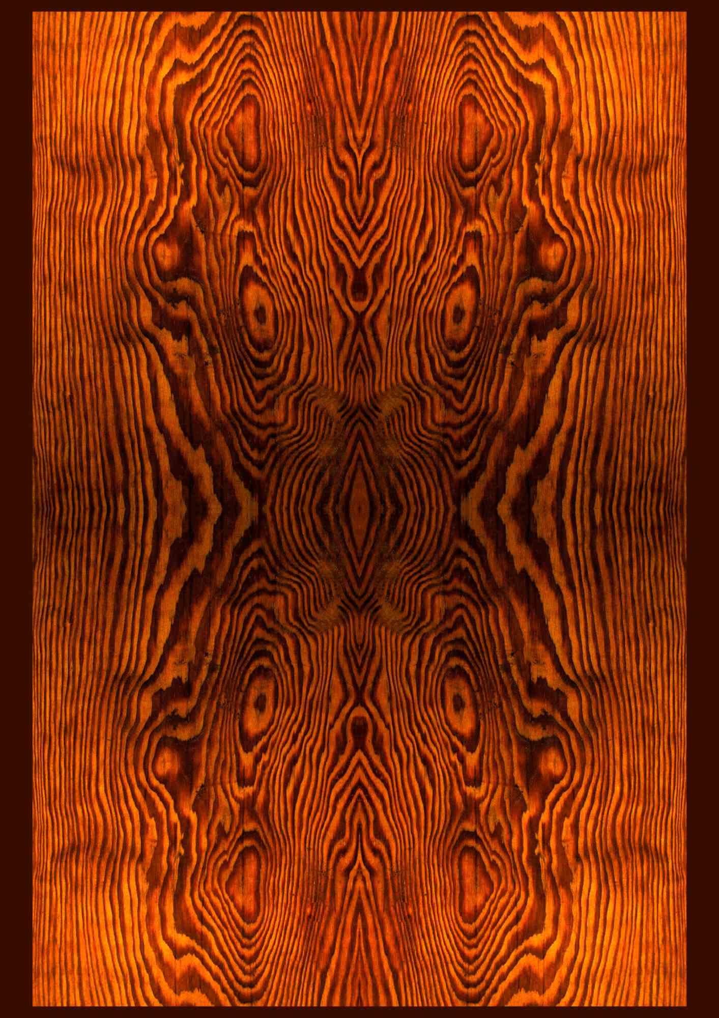 Stampa su forex di una composizione fotografica di una fotografia del legno delle navi romane di Nemi