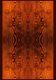 Legno Fluido - Grabado de Massimo Greco - 2019