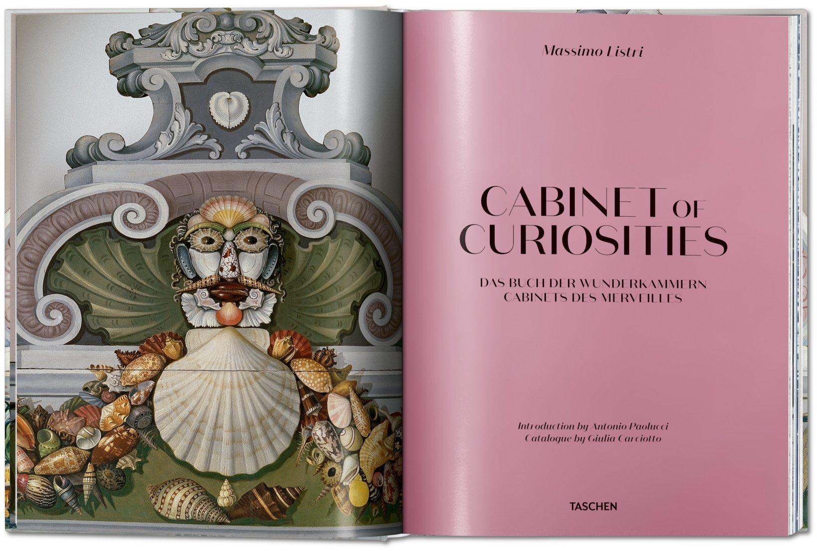 Cabinets of curiosities fascinated people of the 16th and 17th centuries. From crocodiles, minerals, and corals to paintings, ivory trophies, measuring instruments, and incredible automata, it was a glimpse into a world full of natural wonders and