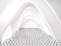 Massimo Listri - Casa Batló, Barcelona, Spain (Portrait of Interiors)