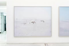 Rosignano Llama - escena de playa mediterránea a gran escala en Italia (enmarcada por el artista)