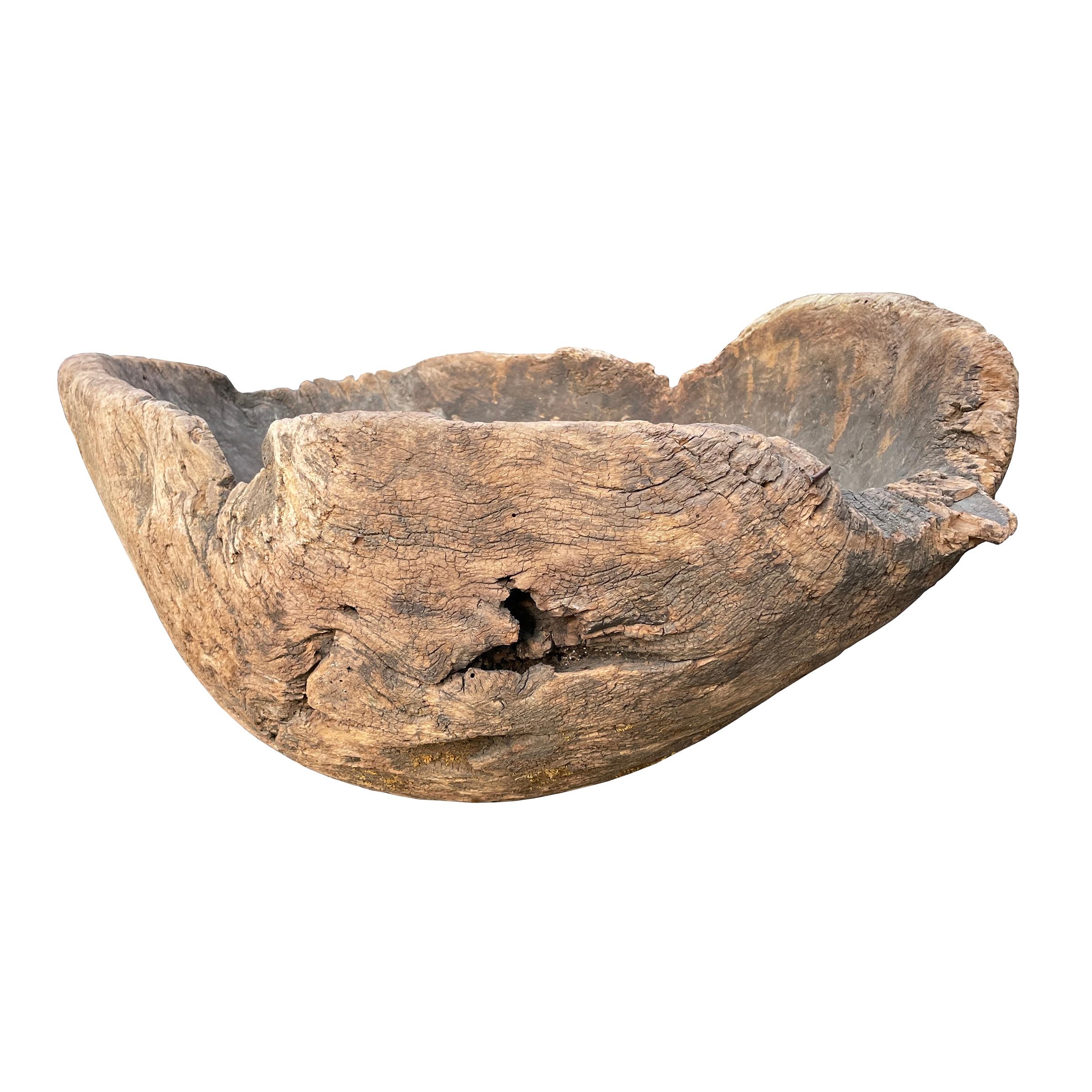 Massive 19th Century Burl Wood Bowl 2