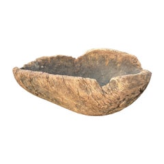 Grande ciotola in legno di radica del XIX secolo