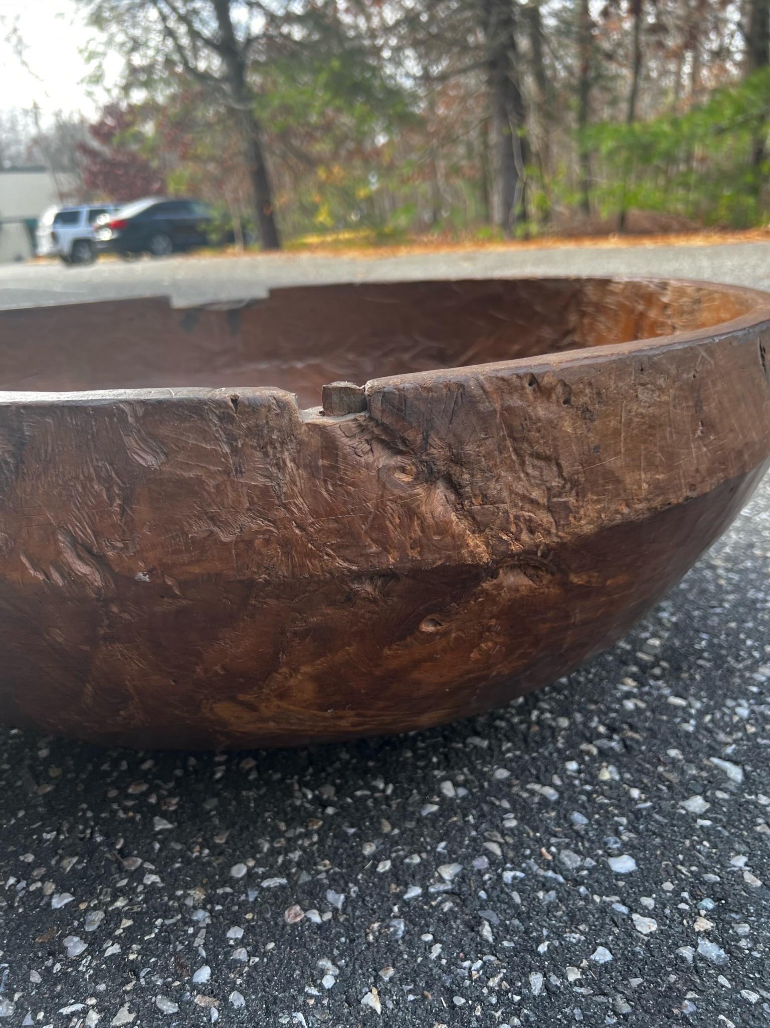 French Massive 19th Century Burled Wooden Bowl / France For Sale
