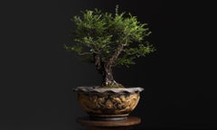 Massive 39 Inch Terracotta Dragon Bowl, Japon circa 1950