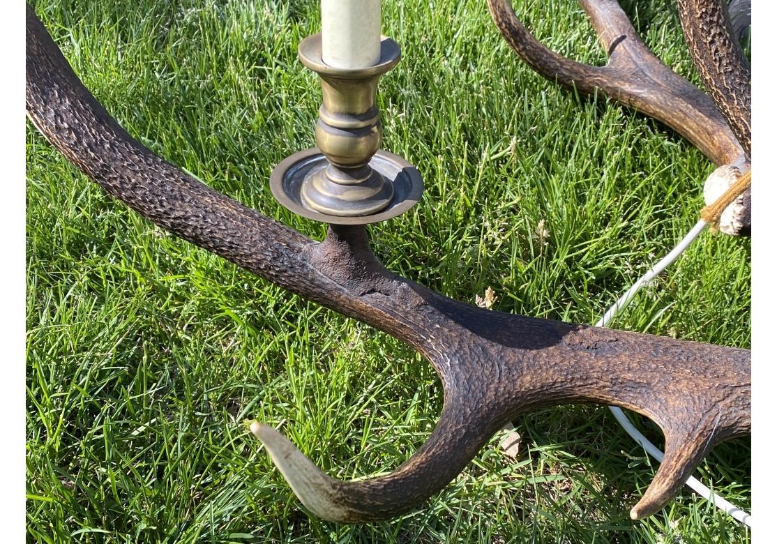 Massiver und außergewöhnlicher schottischer Hirschgeweih-Kronleuchter aus Rotwild im Angebot 3