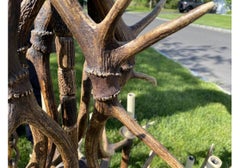 Massive And Extraordinary Scottish Red Stag Deer Antler Chandelier