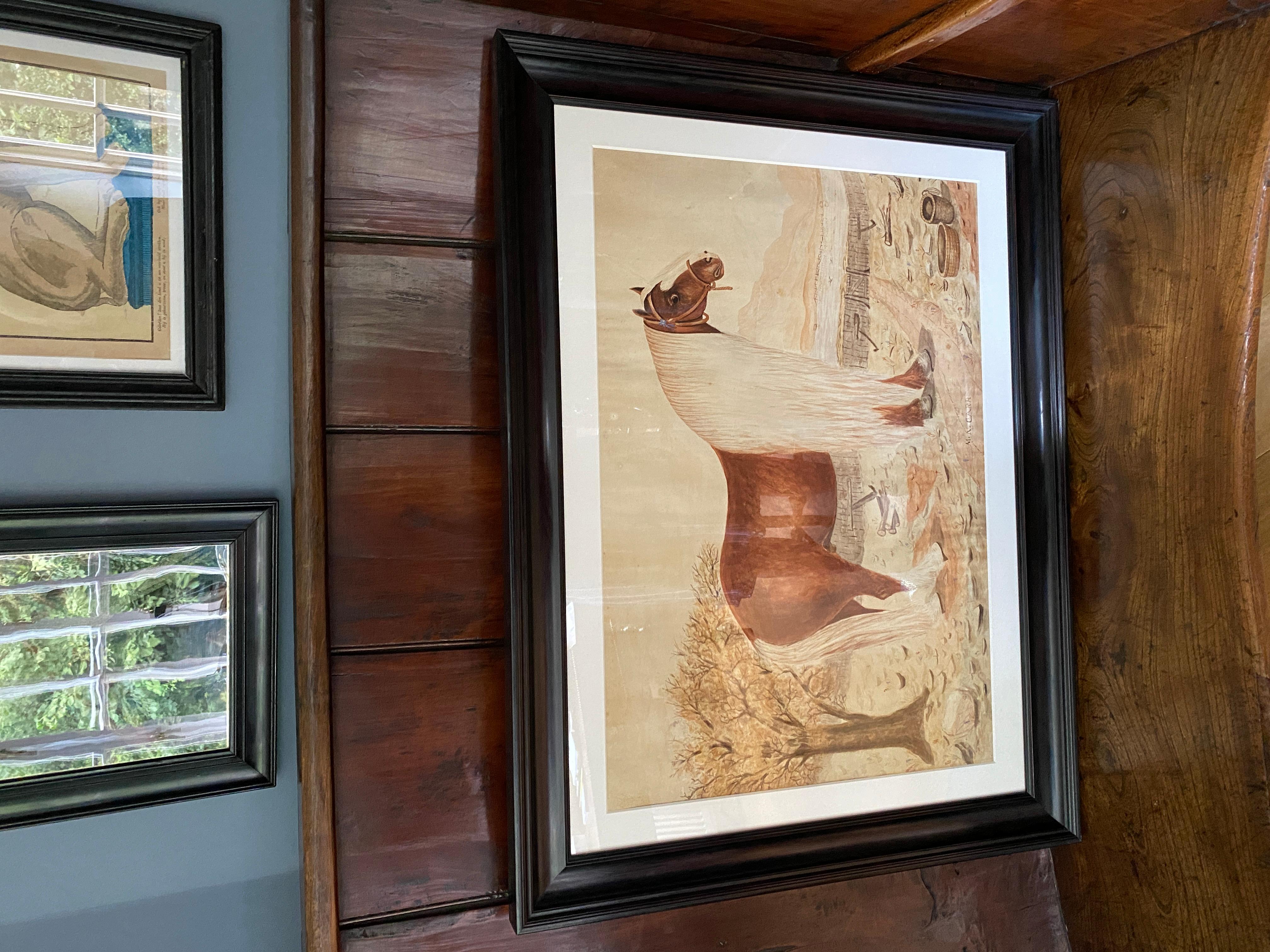 Large watercolor of a Barge Horse,
Named Bob,
Signed M.N. Carr,
circa 1860
   

A large watercolor painting of a famous Barge Horse, Bob. An impressive horse that once pulled barges along the River Ancholme towpath in the Brigg area was so