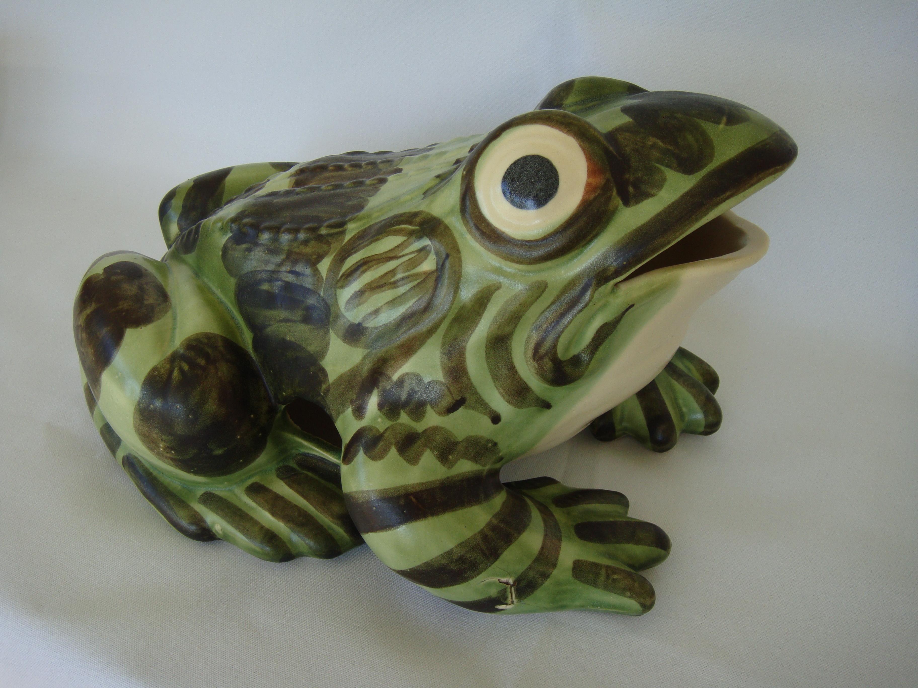 brush mccoy frog
