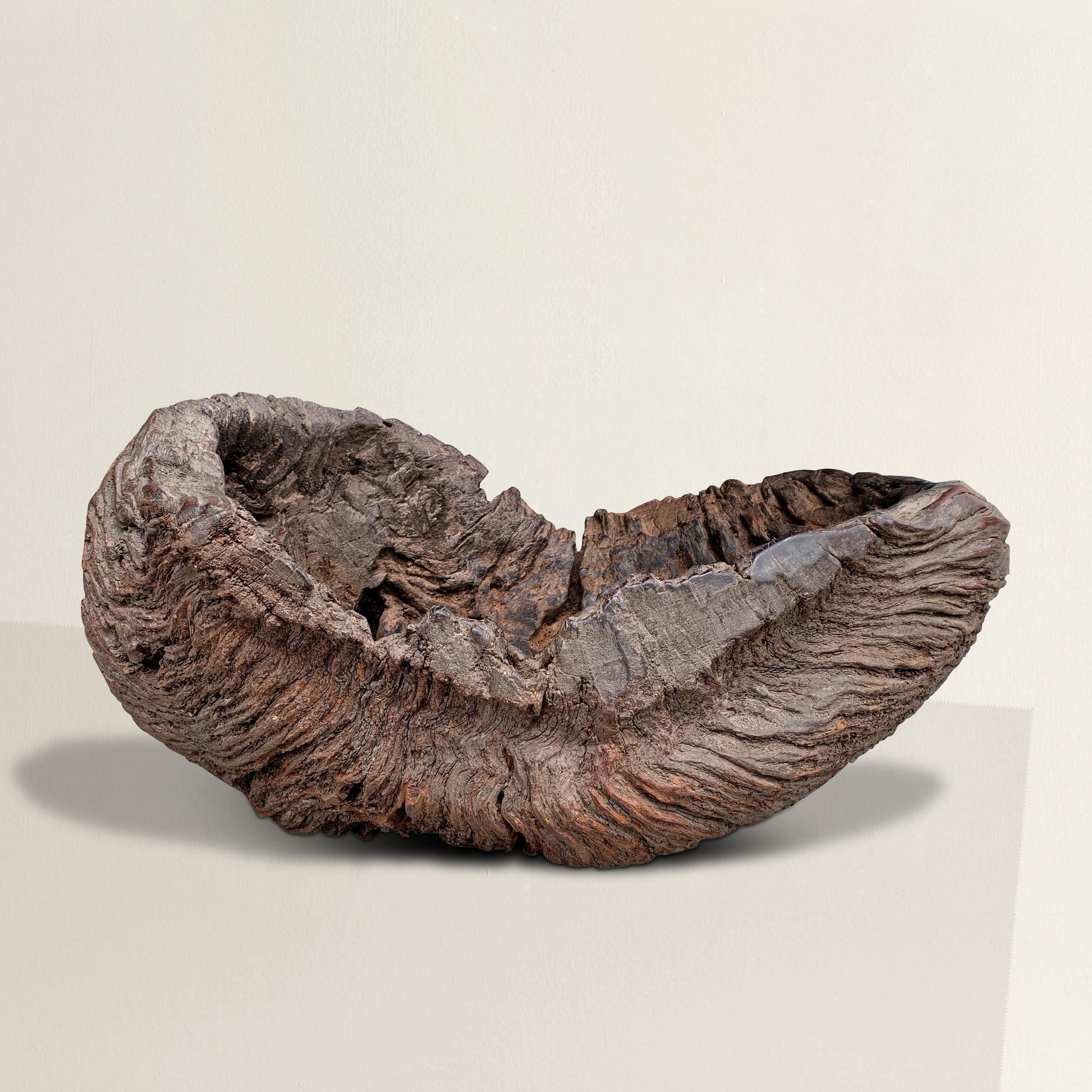 Behold the best burl wood bowl you've ever seen, a magnificent testament to the passage of time and the artistry of nature. This remarkable piece boasts a patina that only decades, perhaps even centuries, could bestow. With its intriguing history