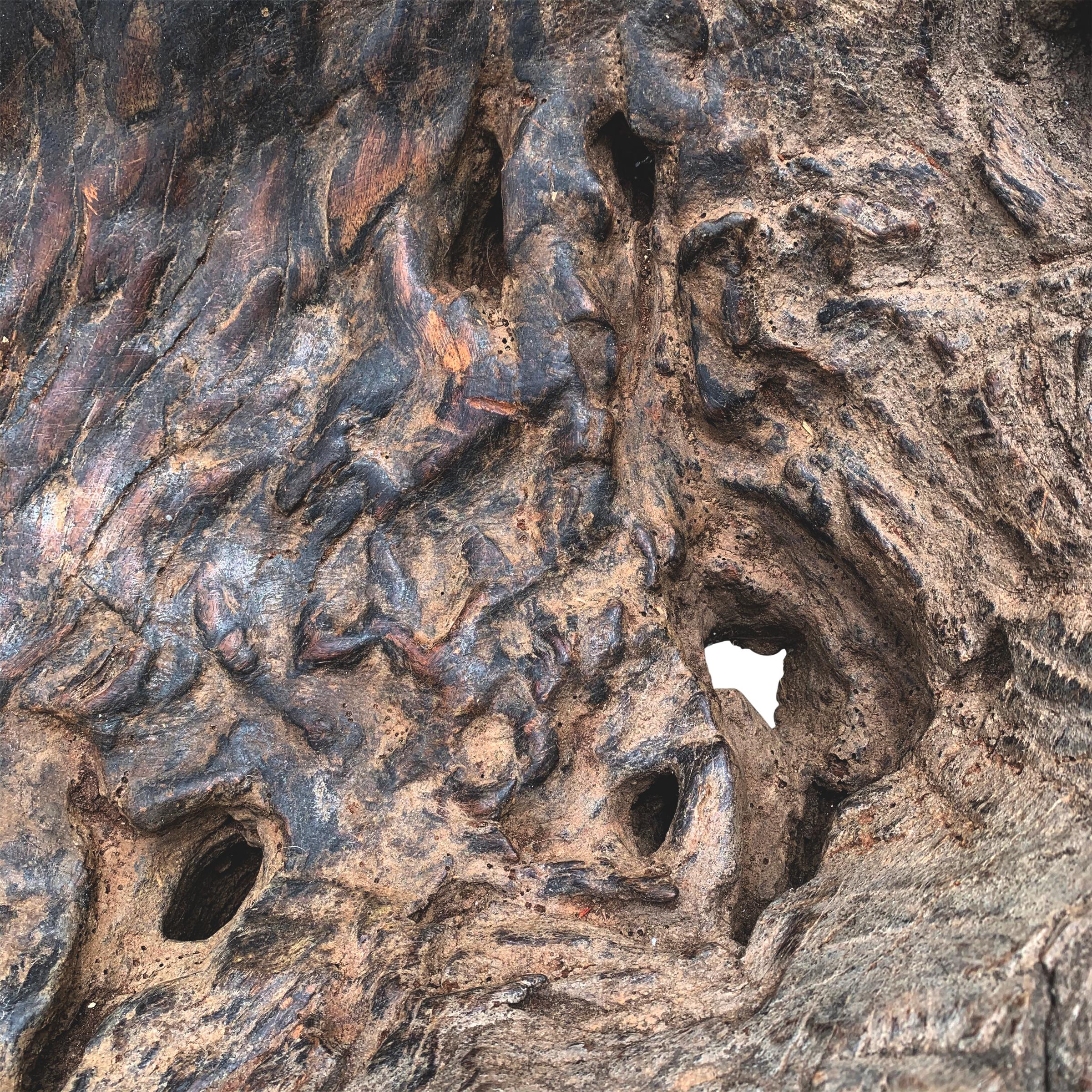 Massive Burl Wood Bowl 5