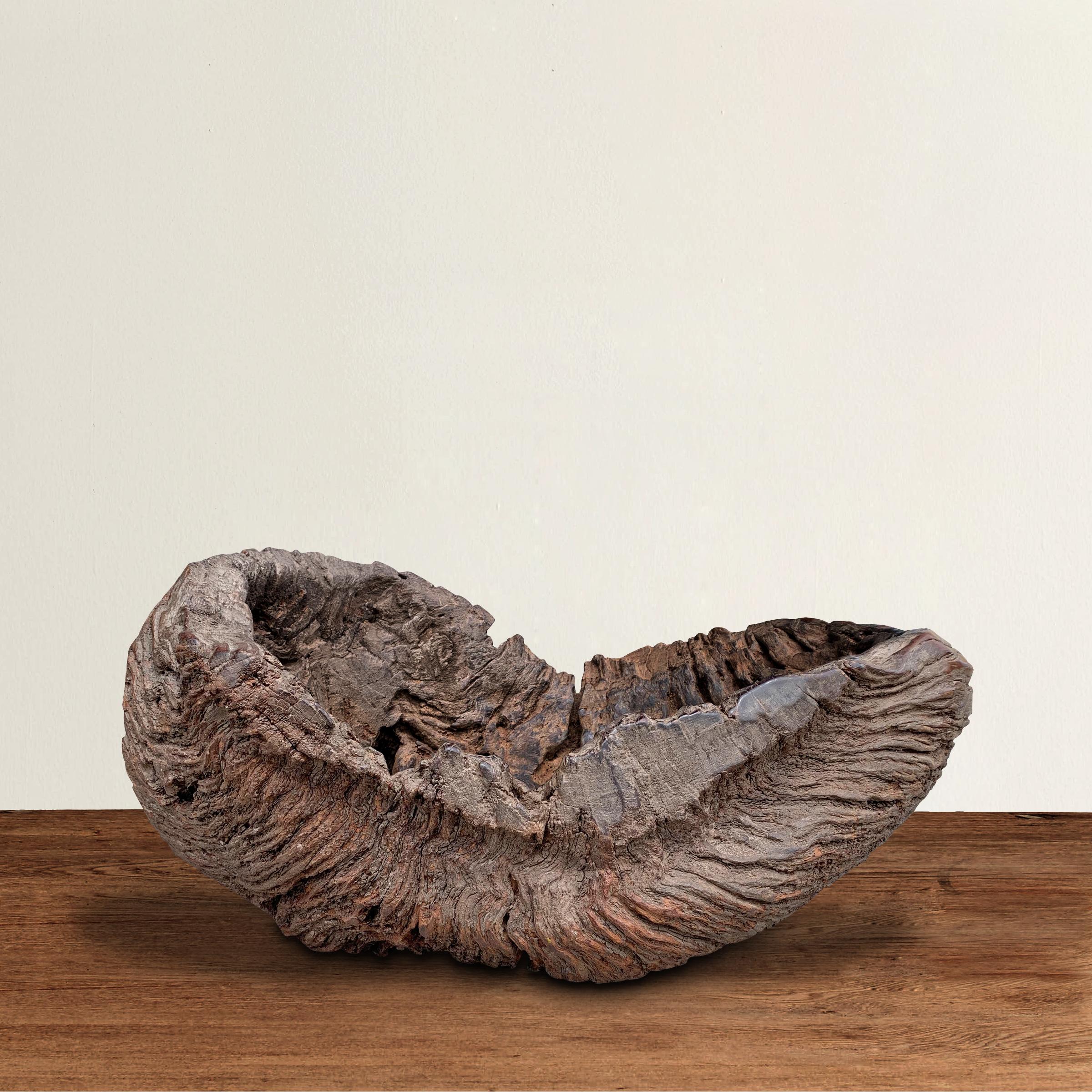 An incredible massive burl wood bowl of unbelievable sculptural form with a beautiful texture and a well worn finish only time can bestow. We don't know where this bowl came from, or what its story is, but who cares! It's bloody fantastic!