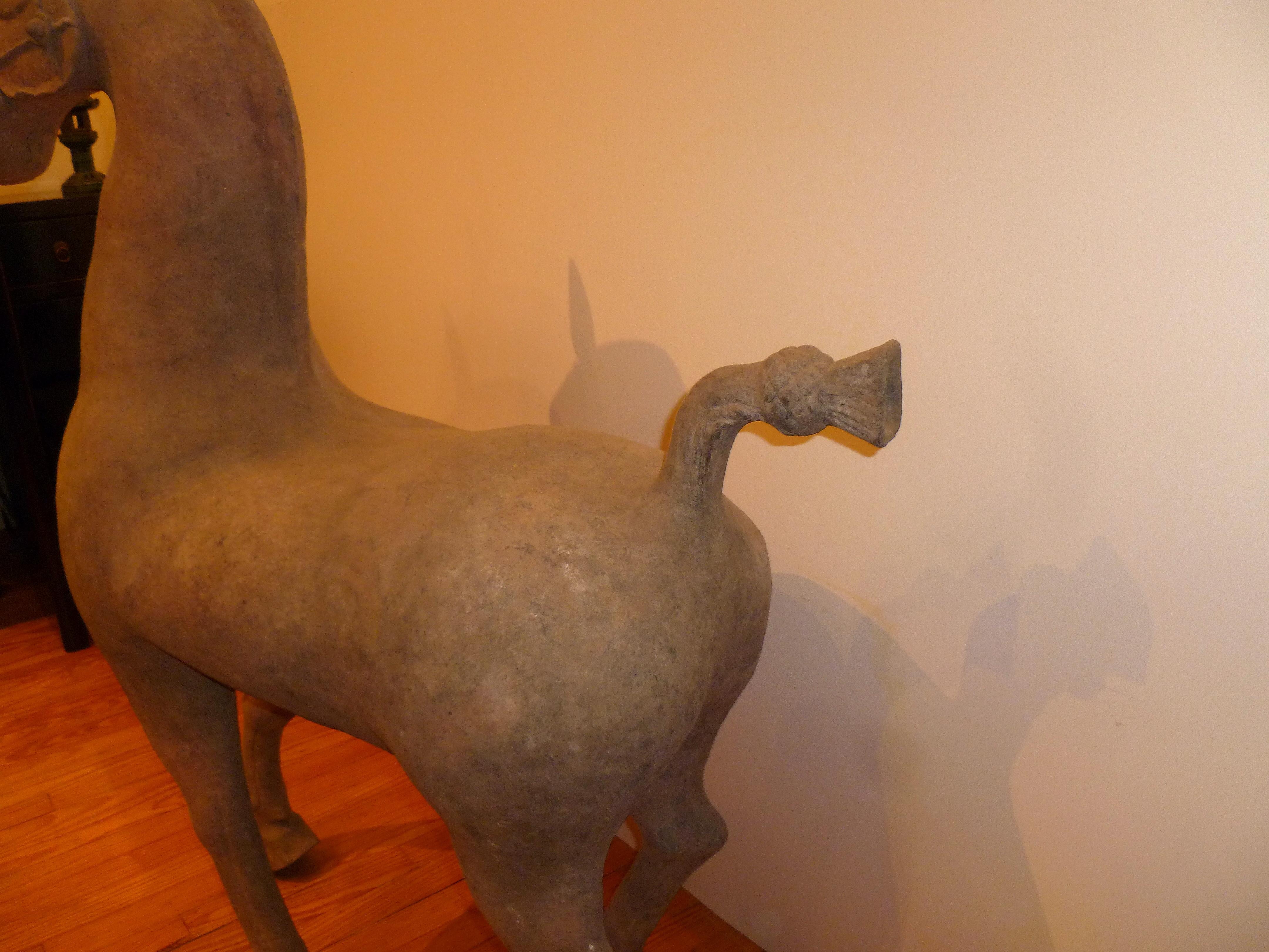 Massive Chinese Han Dynasty Sichuan Terracotta Pottery Horse, Oxford TL Tested For Sale 5
