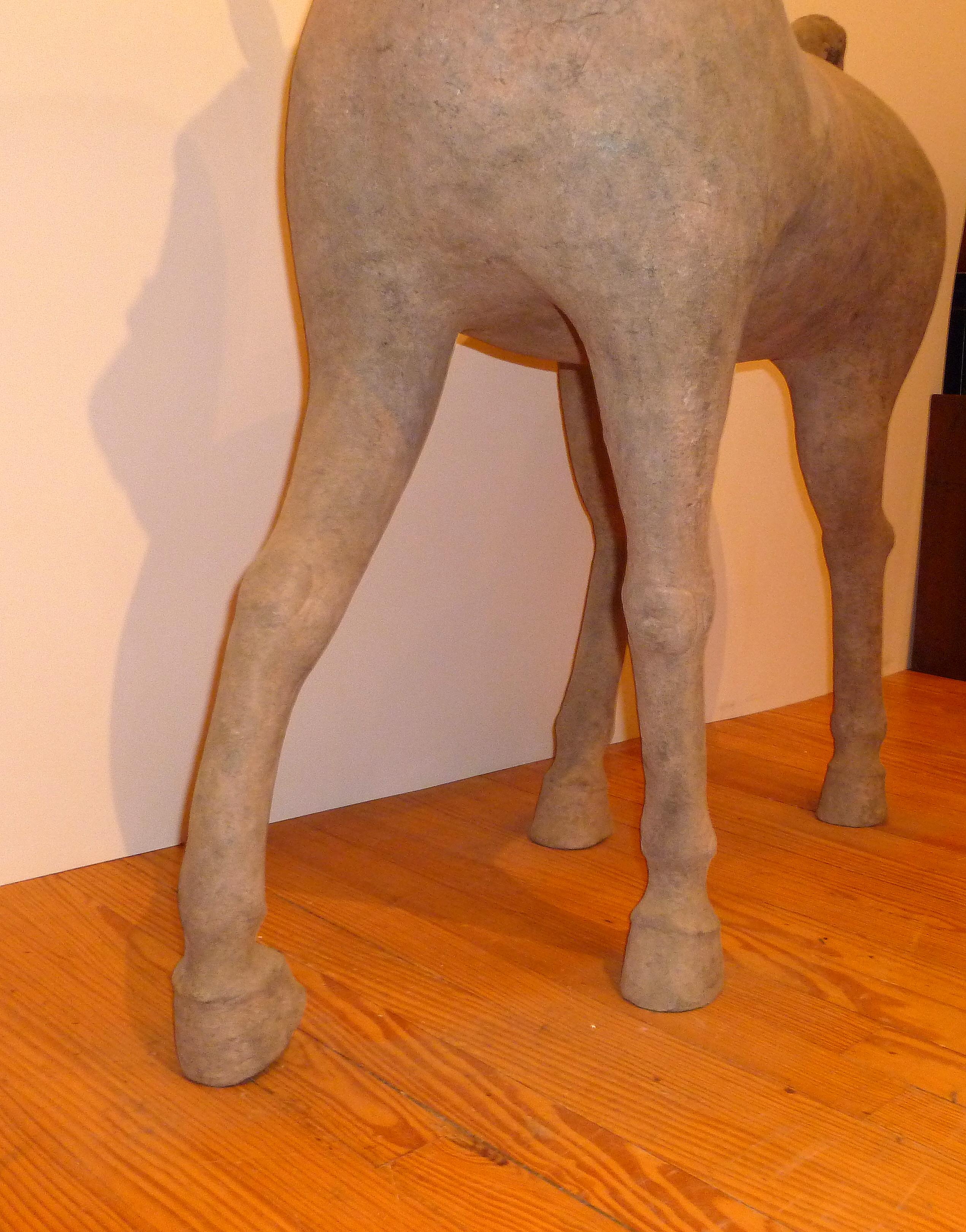 Massive Chinese Han Dynasty Sichuan Terracotta Pottery Horse, Oxford TL Tested For Sale 6