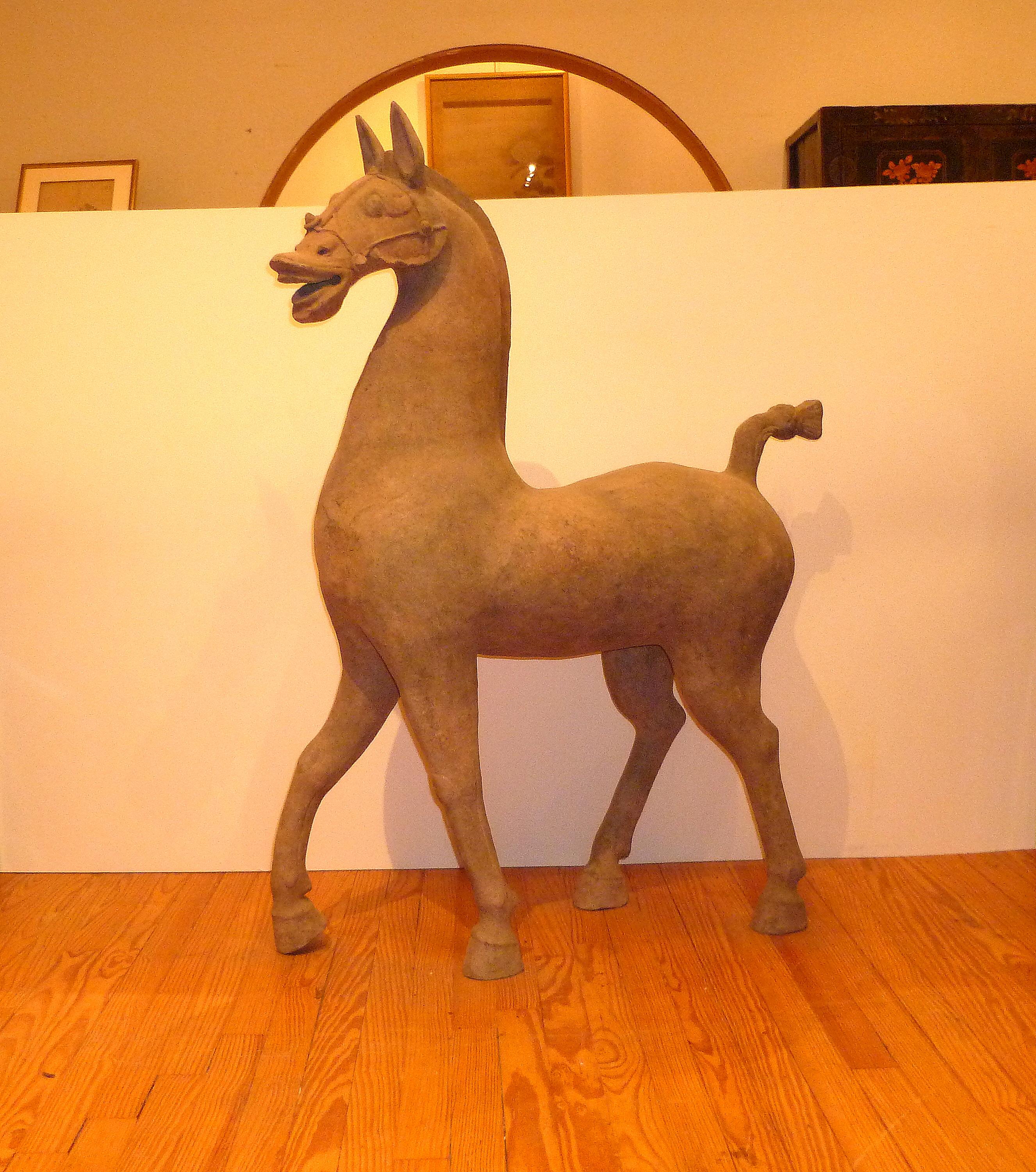 Un'imponente figura di cavallo in terracotta cinese della dinastia Han del Sichuan
Dinastia Han (206 a.C.-220 d.C.)
Modellato con forza in una posa di vigile attenzione, il collo forte e la testa in bilico con la bocca aperta e le narici aperte,