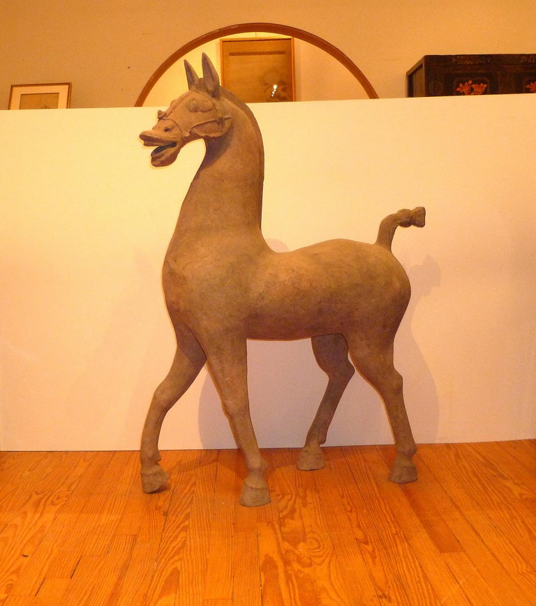Tang Dynasty Statue of Standing Horse at 1stdibs
