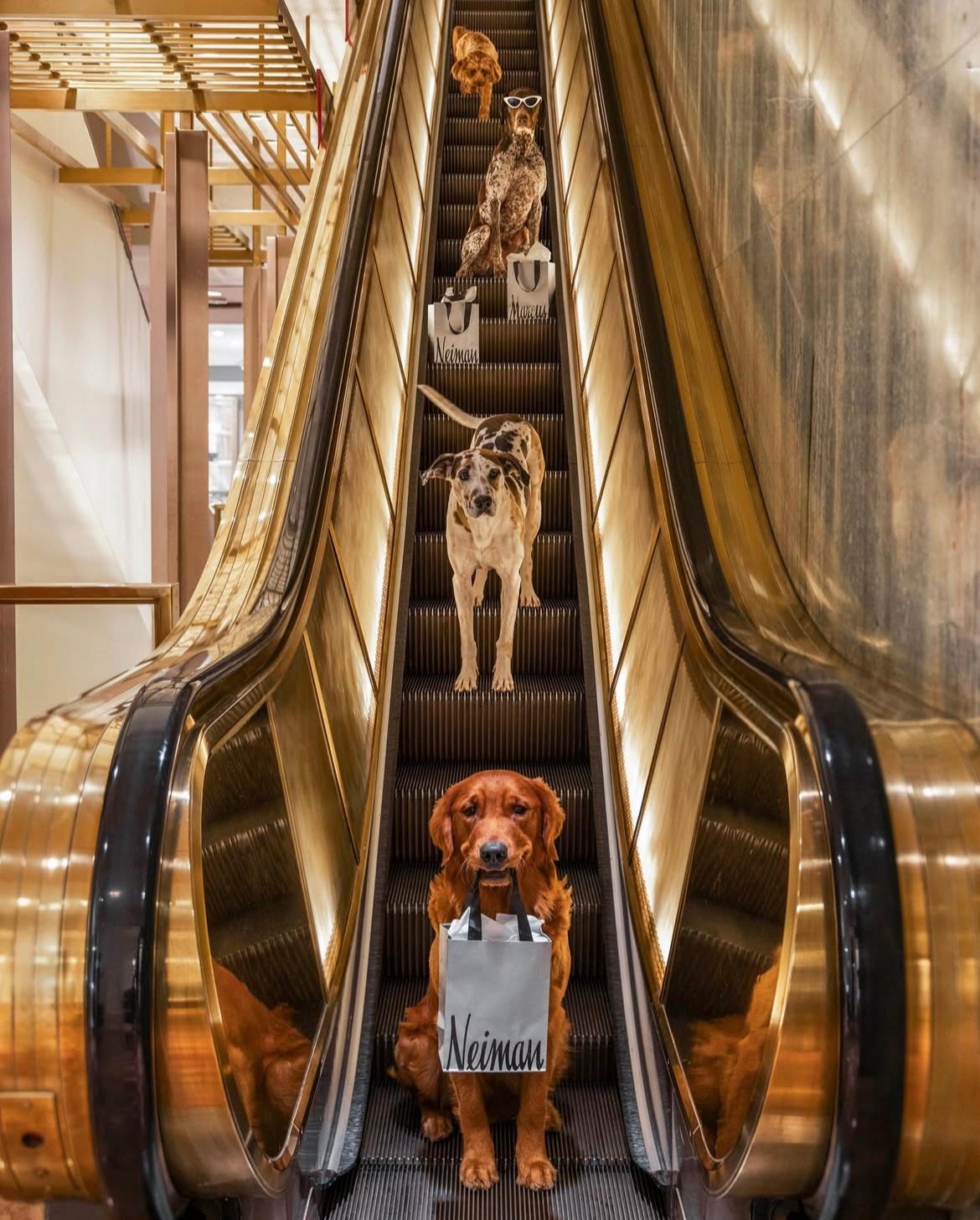 Massive Custom 10ft Marble & Brass Cocktail / Display Table from Neiman Marcus For Sale 11