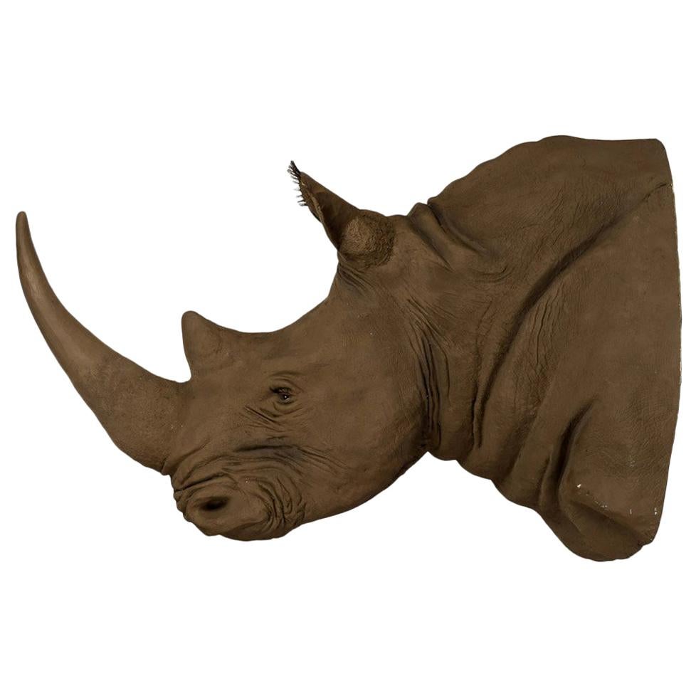 Massive Faux African Taxidermy Acrylic Hanging Rhino Head
