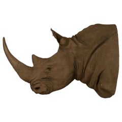 Fausse Taxidermie Africaine Massive Acrylique Tête de Rhino Suspendue