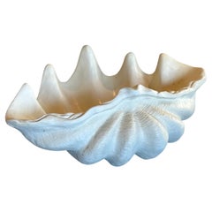 Massive Faux Sculptural Giant South Pacific Clam Shell / Planter