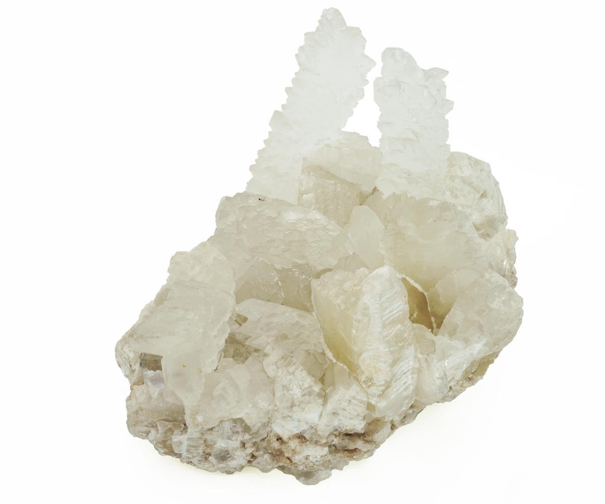 Beautiful Fishtail selenite, also called angel wing selenite, illuminates your best and highest self, connecting you with the energy of the divine. Connecting with this form of selenite helps you to birth a new self - to give yourself a new