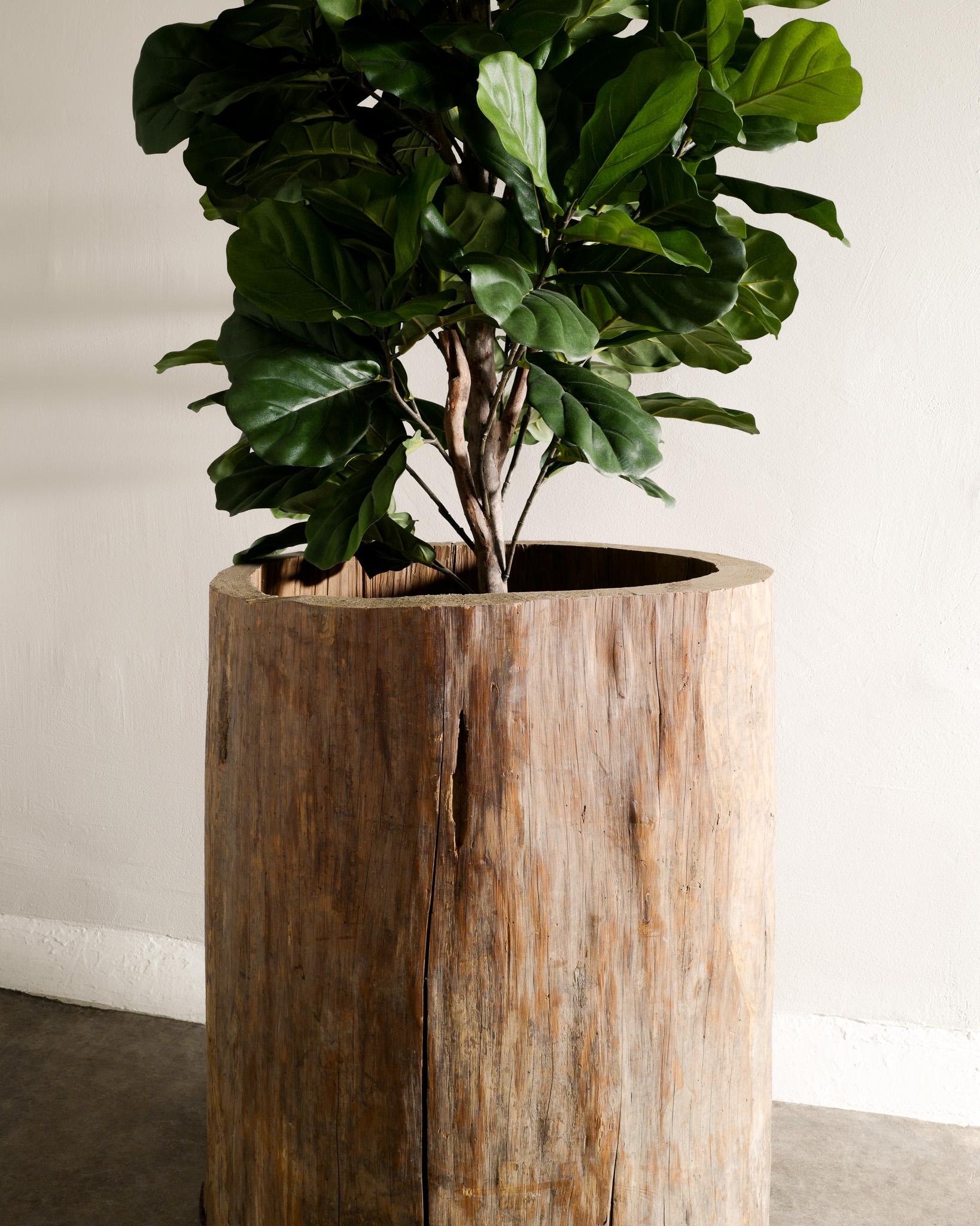 Massive French Antique & Brutalist Hollowed Out Tree Trunk Wooden Planter 1930s  In Good Condition In Stockholm, SE