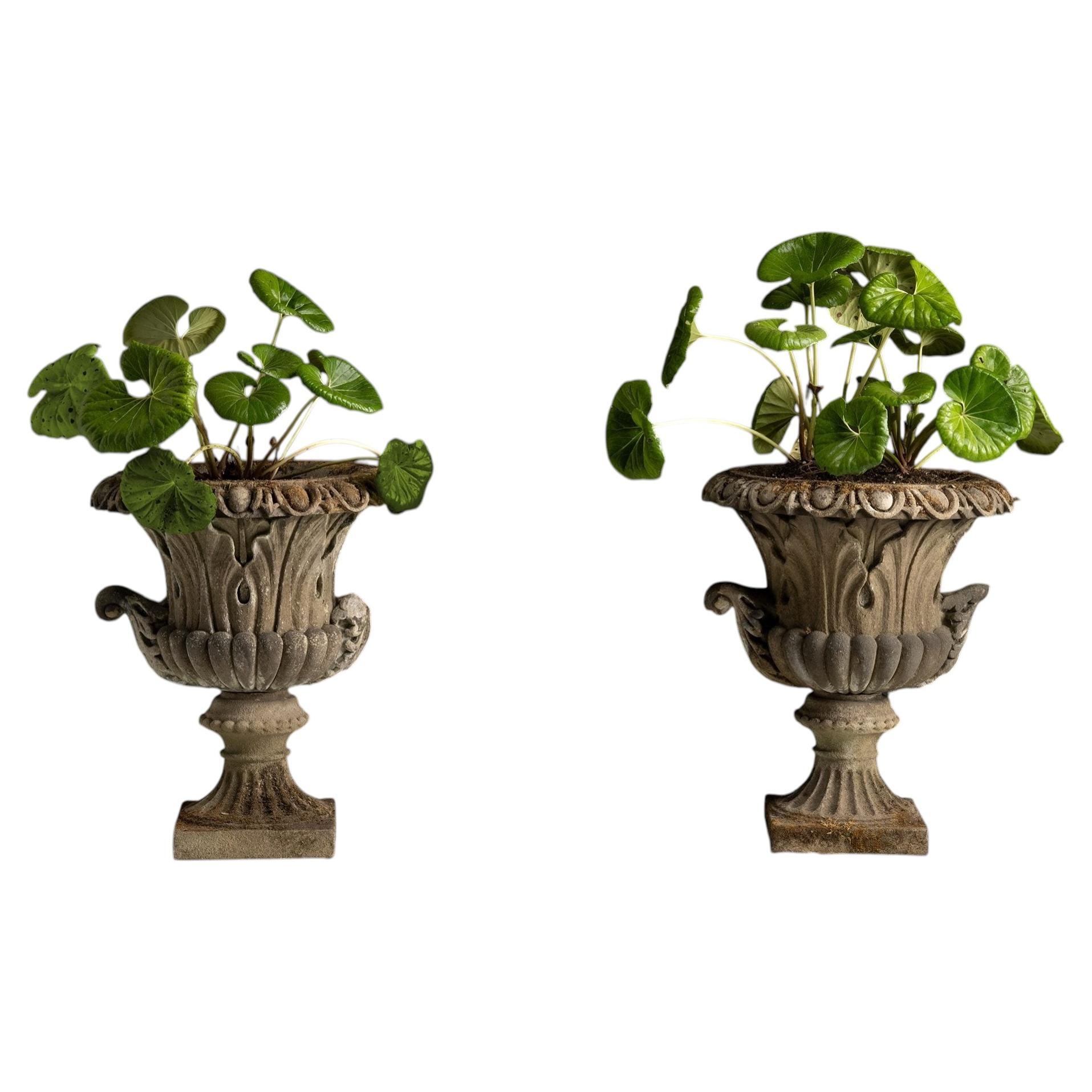 Massive Garden Urns, England 1950 For Sale