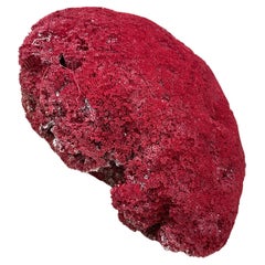 Massive Natural Red Pipe Coral Specimen         #4