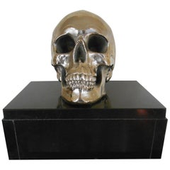 Vintage Massive Nickeled Resin Skull Signed Y.D., Belgium, 1989