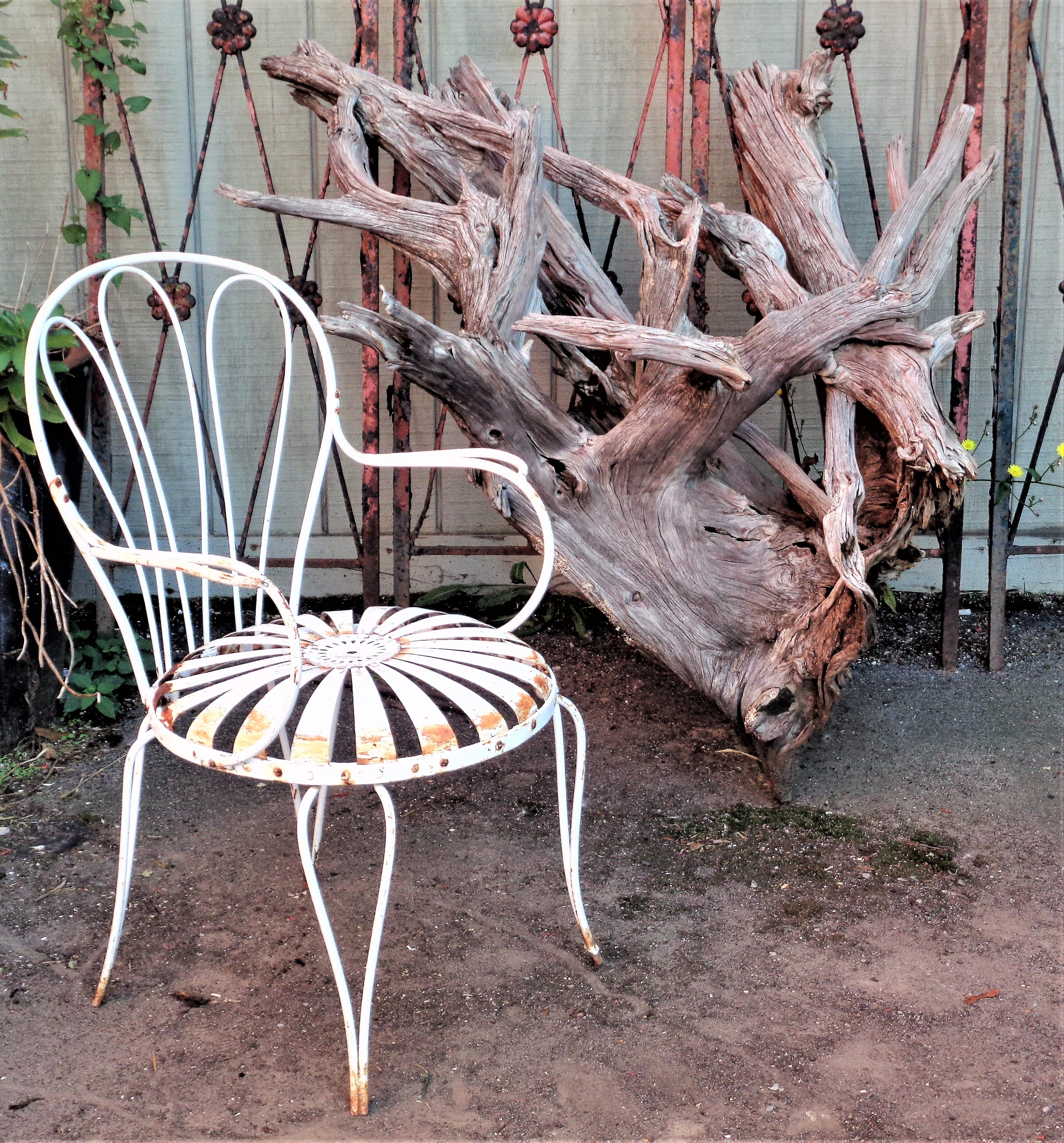 Massive Old Natural Weathered Driftwood For Sale 7