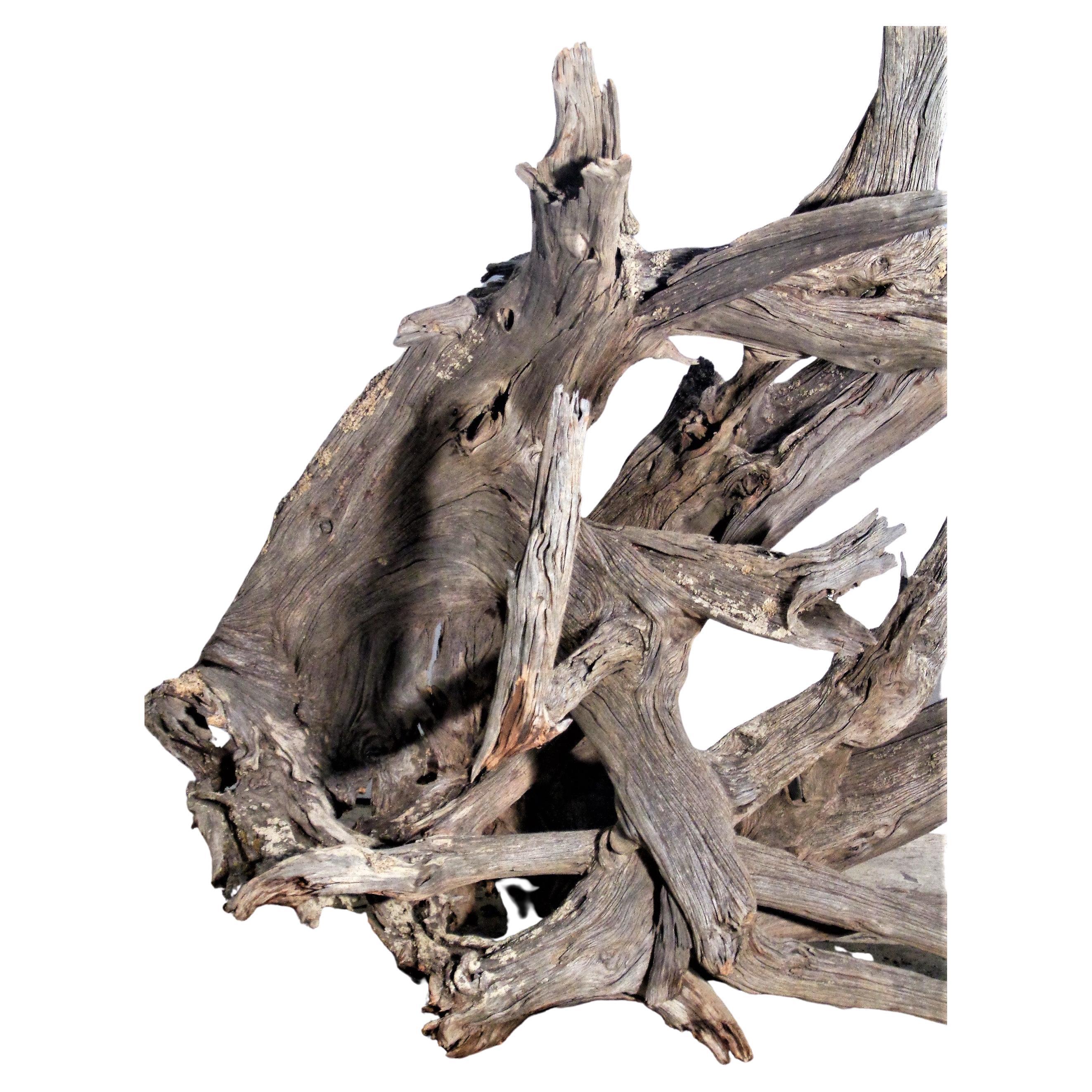 American Massive Old Natural Weathered Driftwood For Sale