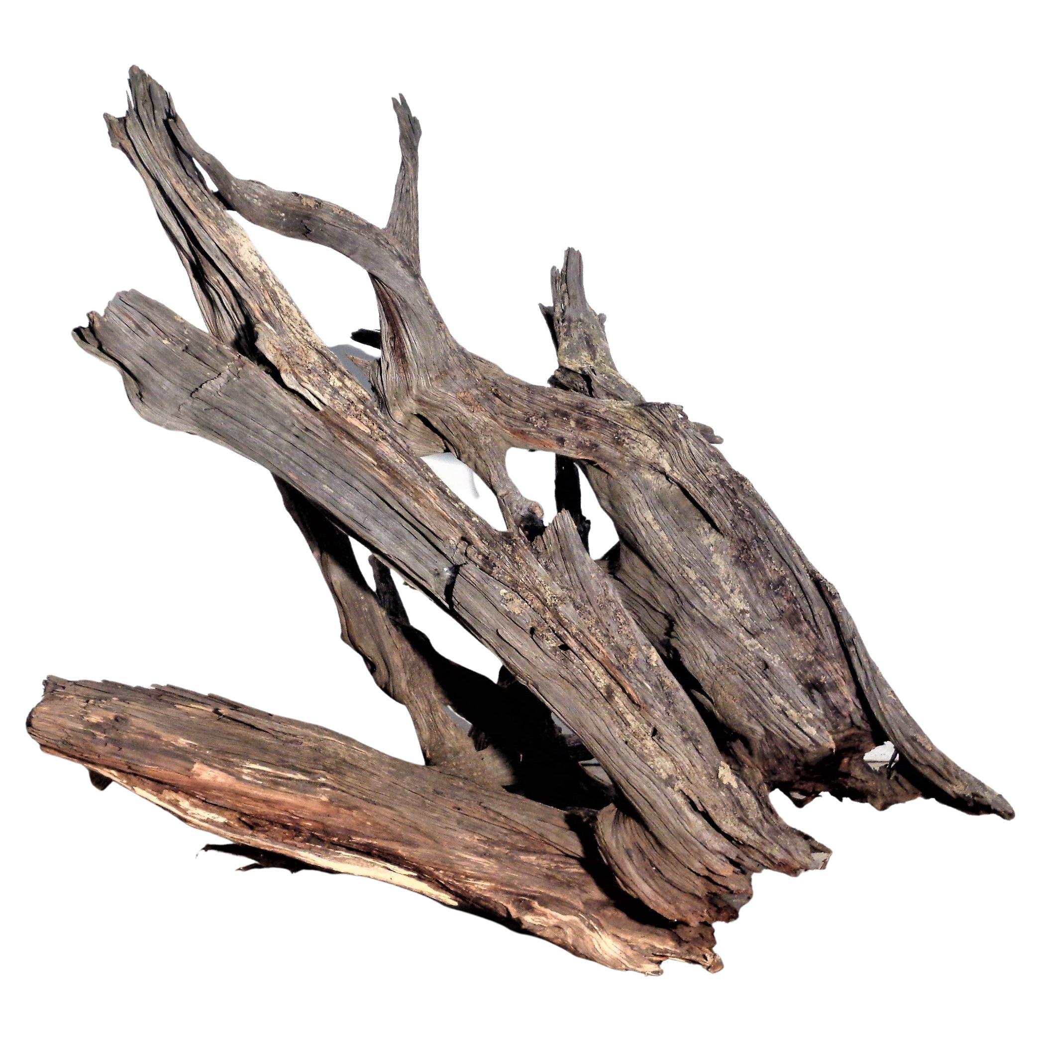 Massive Old Natural Weathered Driftwood For Sale 2