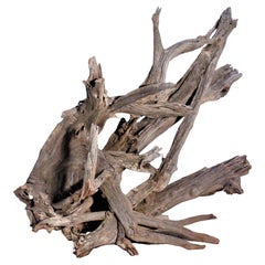 Antique Massive Old Natural Weathered Driftwood