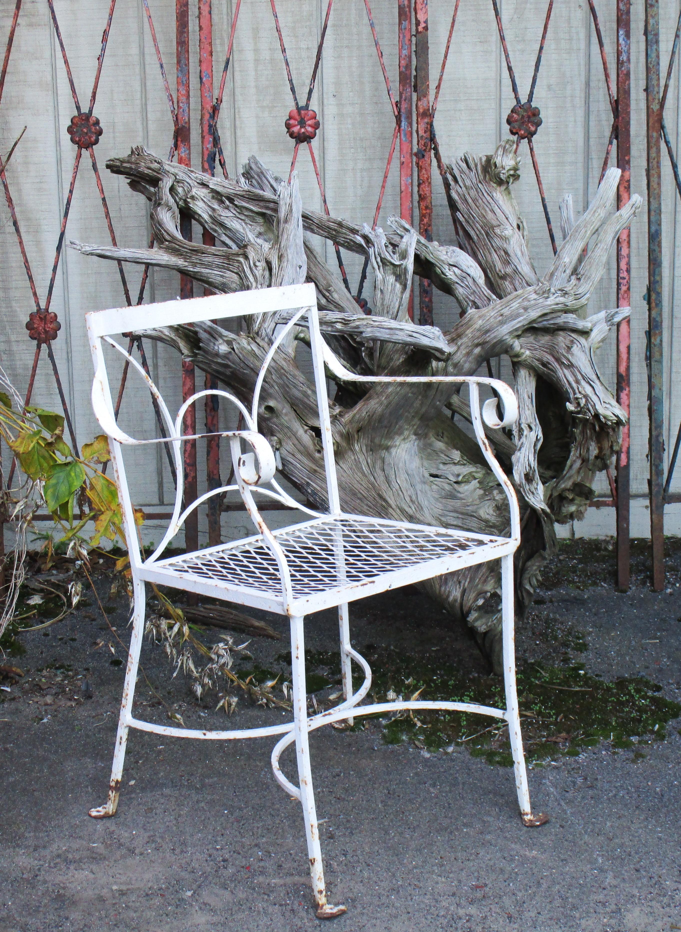 19th Century Massive Old Sun Bleached Weathered Driftwood