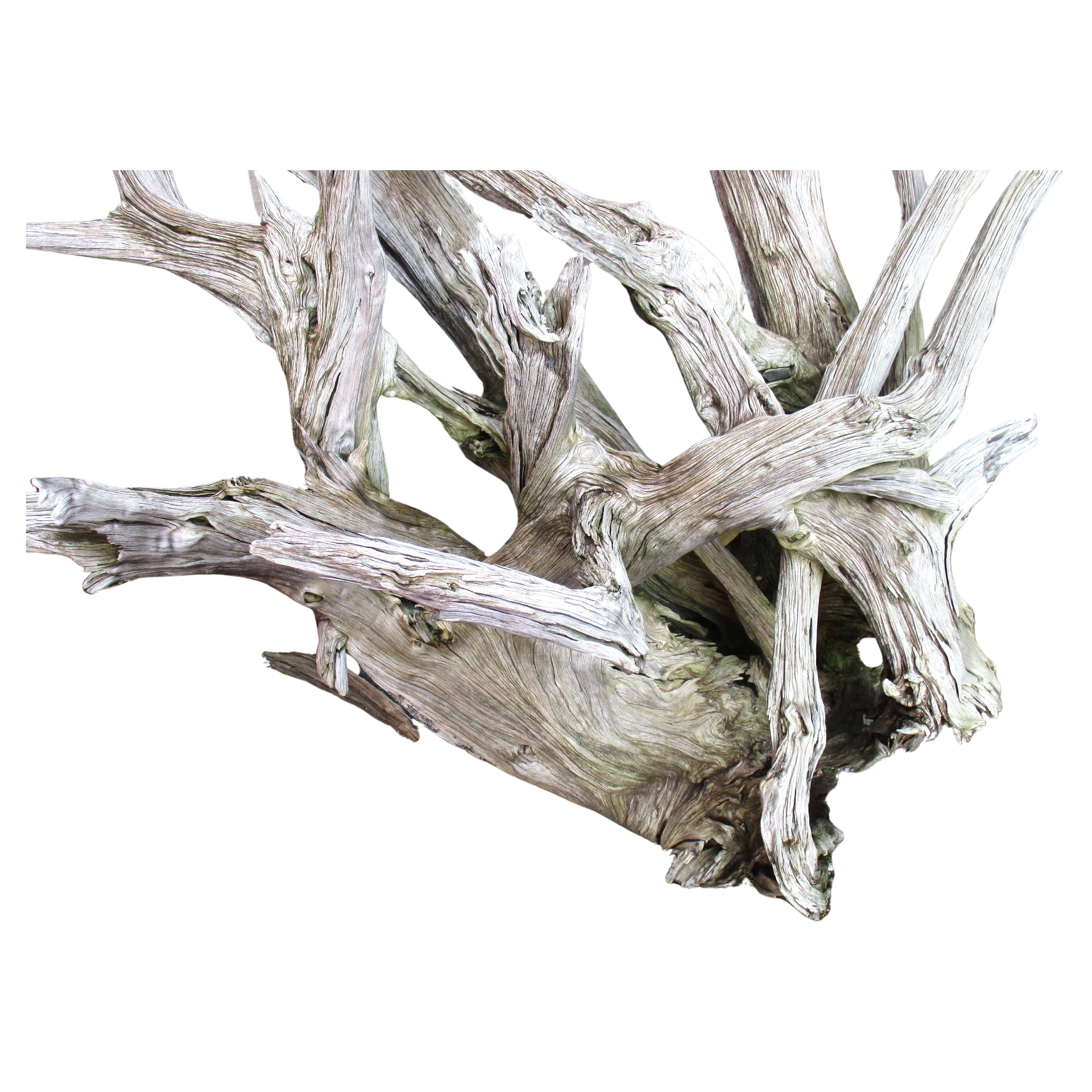 From the Finger Lakes region of Western NY State a massive old piece of driftwood in as found naturally aged pale bone gray weathered surface. Use for exterior garden landscape design / interior natural sculpture art object. Look at all pictures and