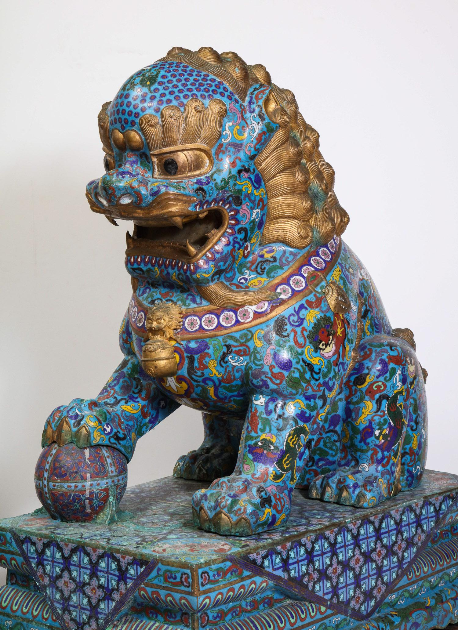Massive Pair of Chinese Cloisonne Enamel Foo Dogs Lions on Wood Stands 4