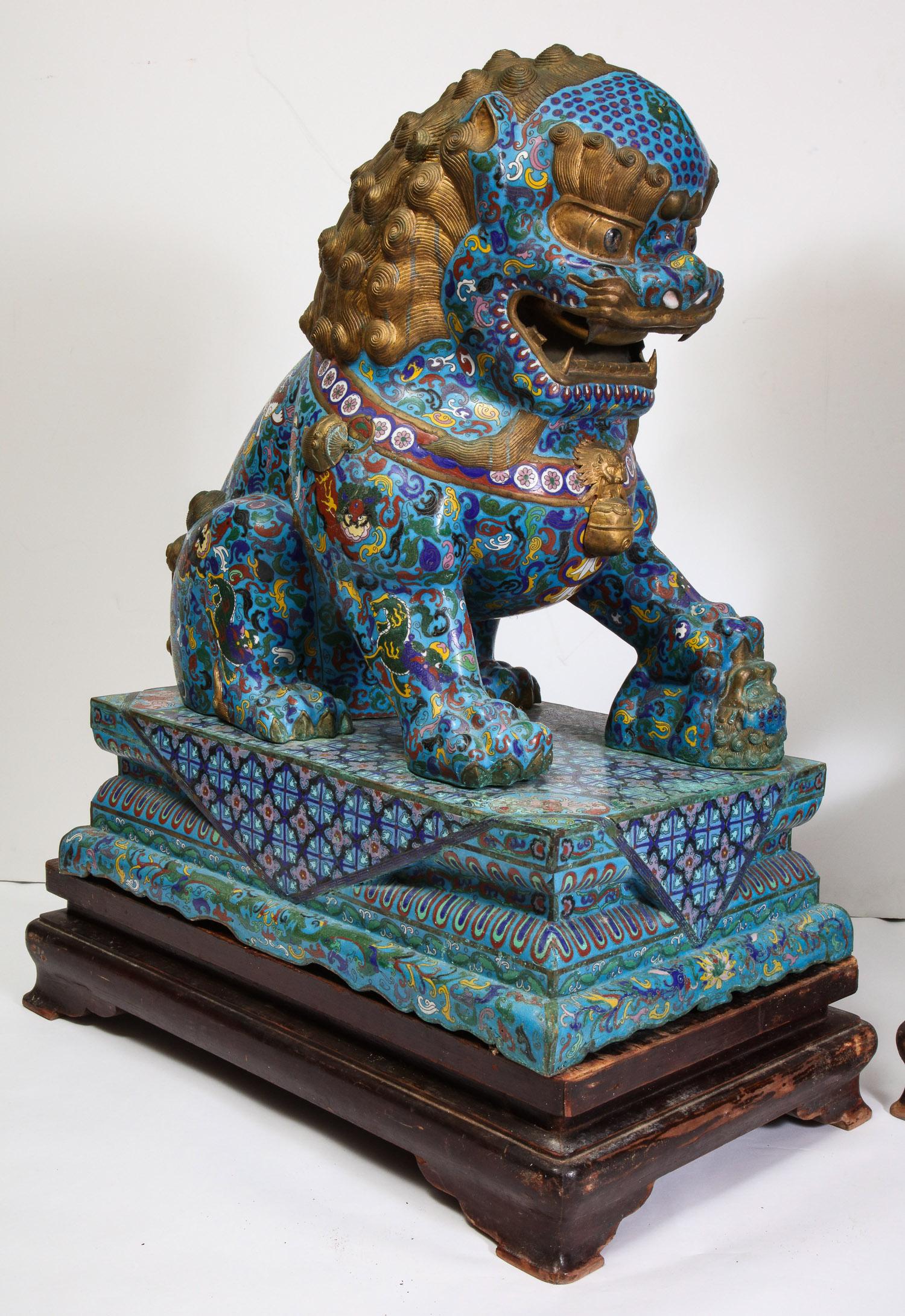 Massive Pair of Chinese Cloisonne Enamel Foo Dogs Lions on Wood Stands 6