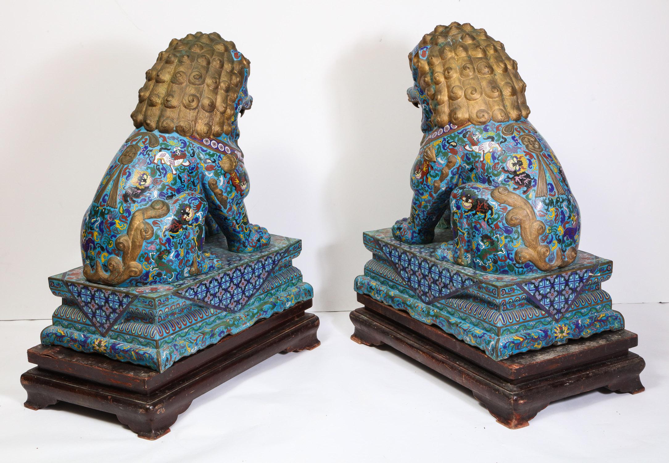 Massive Pair of Chinese Cloisonne Enamel Foo Dogs Lions on Wood Stands 10