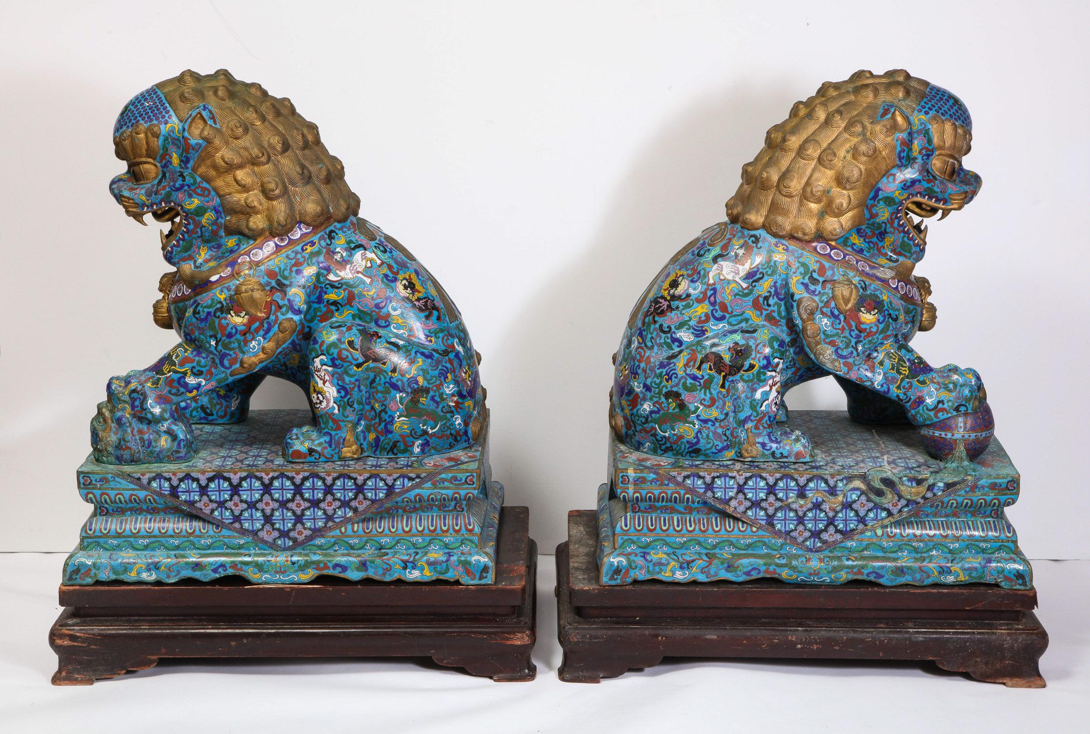 Massive Pair of Chinese Cloisonne Enamel Foo Dogs Lions on Wood Stands 12