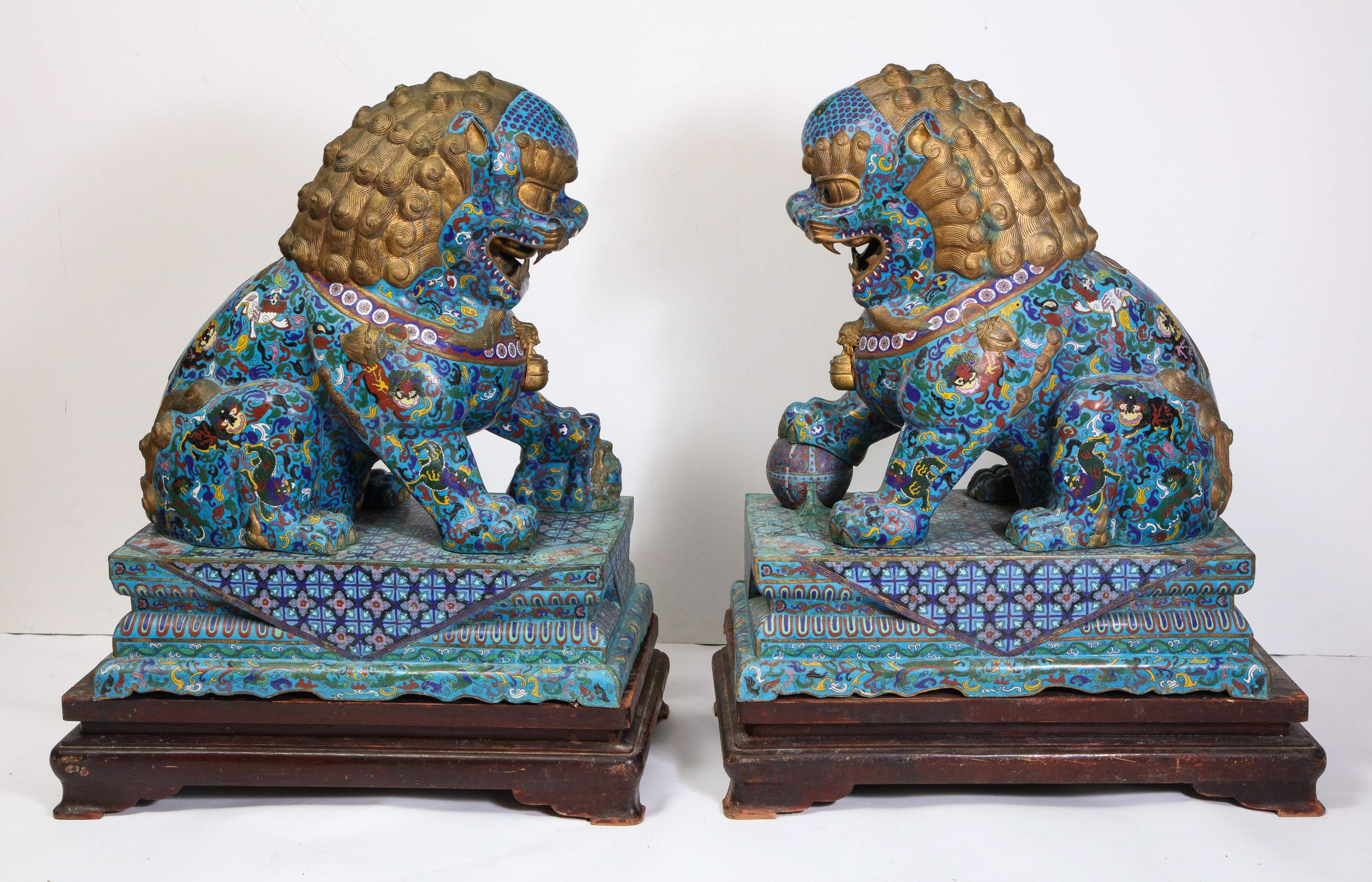 A massive pair of Chinese cloisonne enamel foo dogs / lions on wood stands,
circa 1940.

Very fine quality enameling throughout. 

These were used in front of temples and considered to be guardians by Asian tradition.

Measures: Without wood